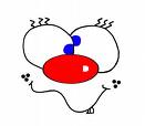Upload