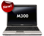 M300