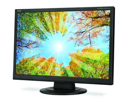 NEC AccuSync AS191WM LCD Monitor