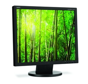 NEC AccuSync AS191 LCD Monitor