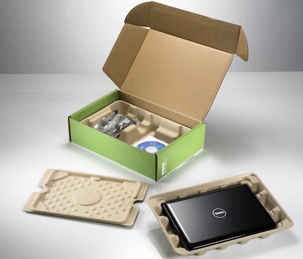 Dell Inspiron Mini 10 in Bamboo Packaging
