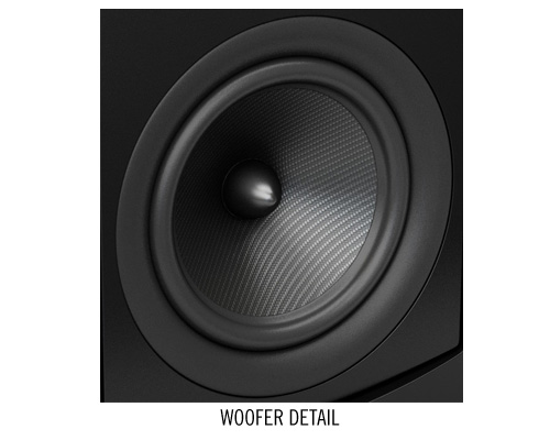 Aperion Audio Verus Grand Speakers - Woofer detail