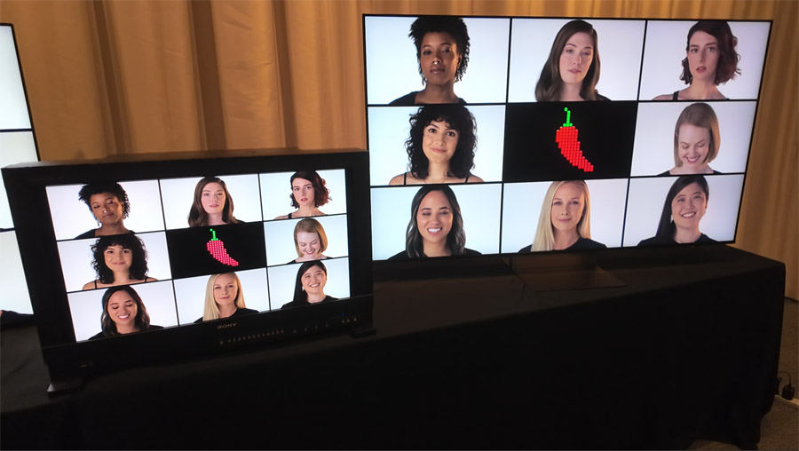 BRAVIA-9-II-BVM-skin-tones-comparison-900px