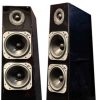 Totem Tribe Tower Thunderbird Speakers Drivers Close-Up