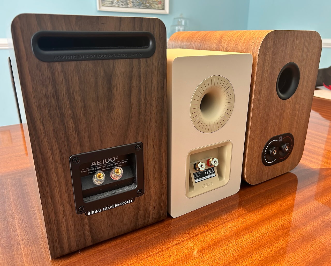 ae-dali-q-speakers-rear