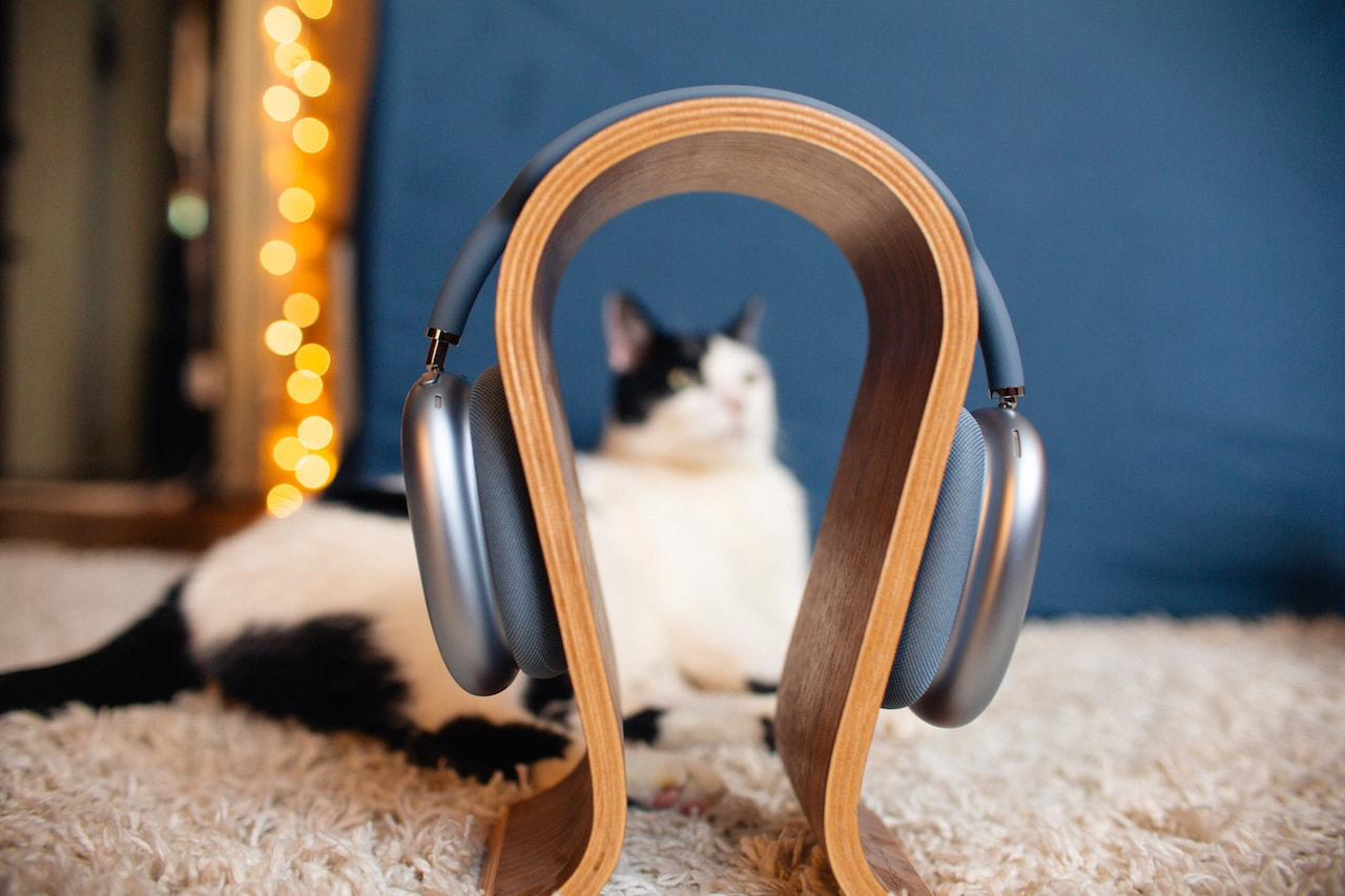 airpods-max-2-headphones-front-blue-cat