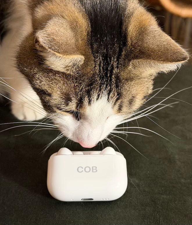 airpods-pro-3-case-bottom-with-case