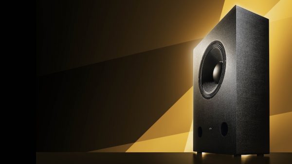ASCENDO THE18 SUB Subwoofer Angle