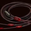 AudioQuest Brave Heart Speaker Cable