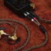 Brise Audio Fugaku 10th Anniversary Edition IEMs