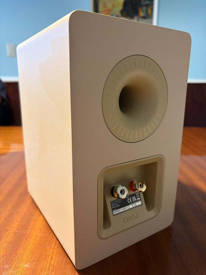 dali-kupid-caramel-white-rear