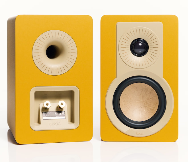 dali-kupid-golden-yellow-front-back