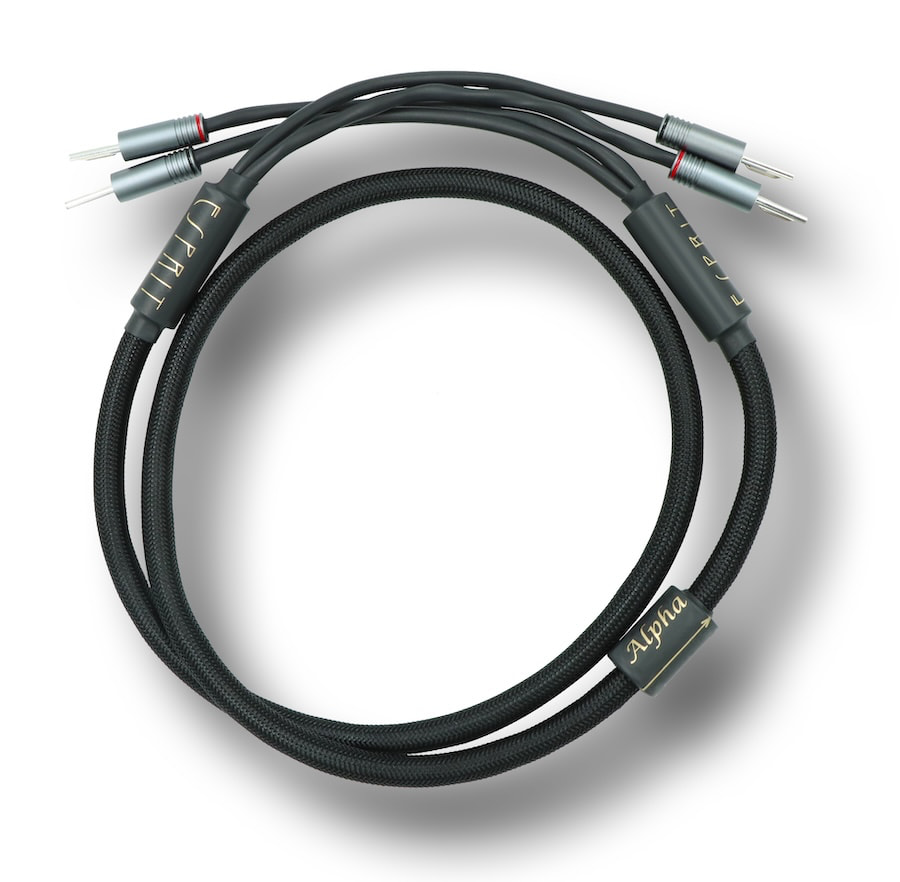 esprit-generation-10-alpha-speaker-cable