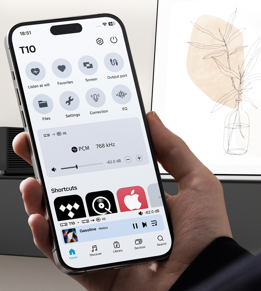 eversolo-t10-streaming-transport-app