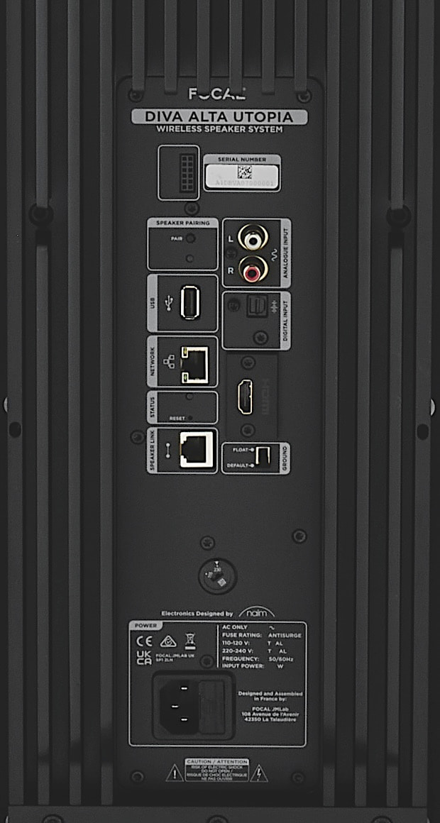 focal-diva-alta-utopia-rear-inputs