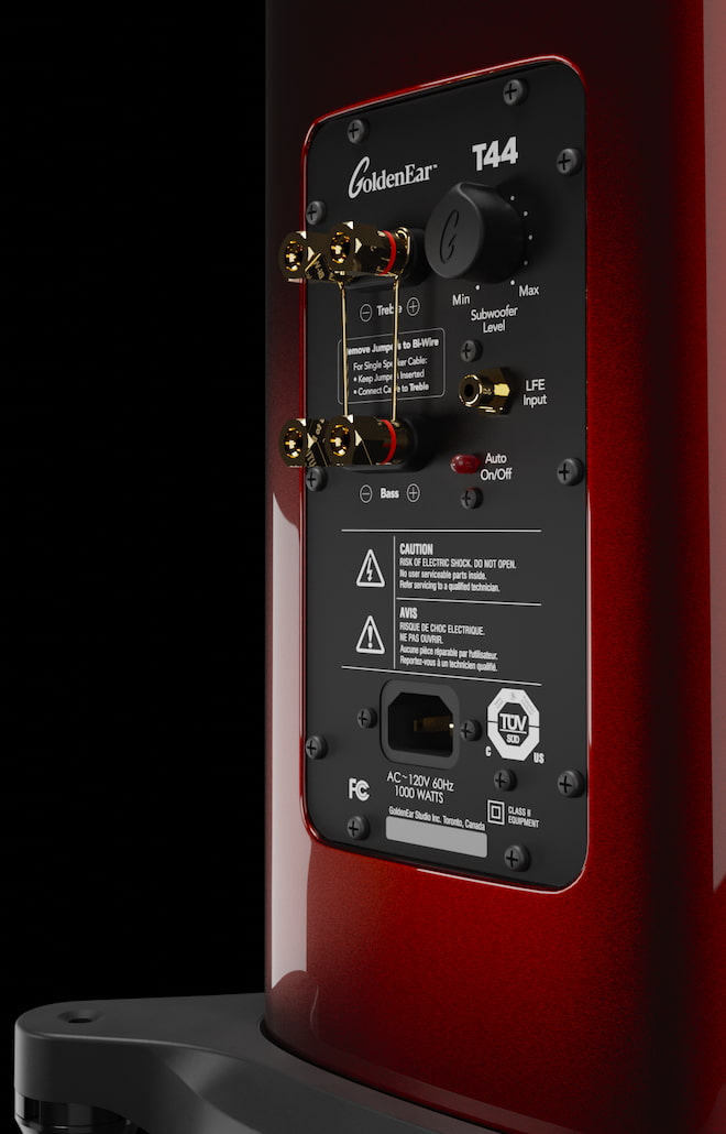 Goldenear-T44-Rear-Inputs-Angle