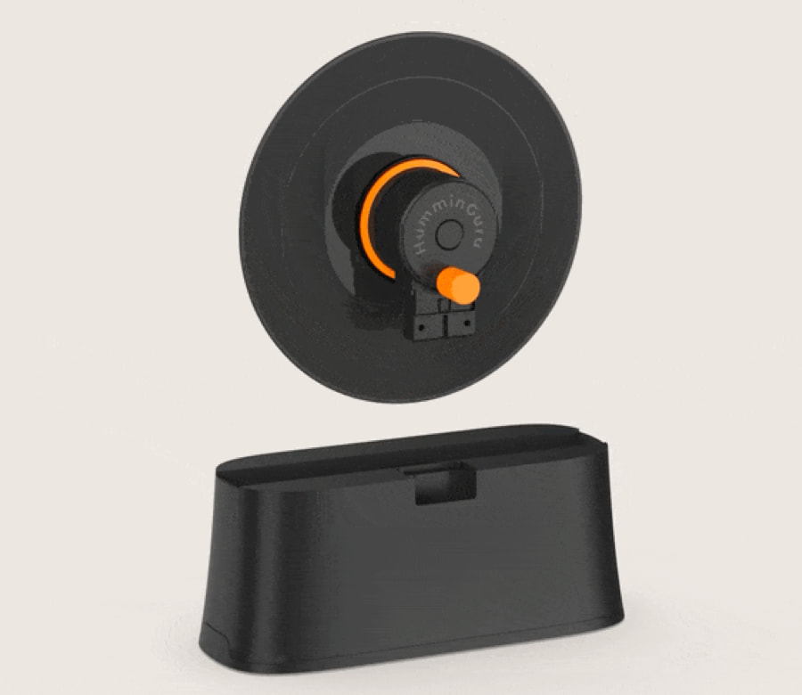 humminguru-ez-vinyl-record-insert