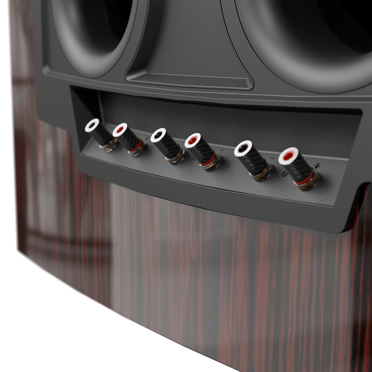 jbl-summit-everest-ebony-rear-connections