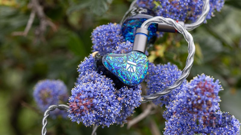 kbear-sr-8-iem