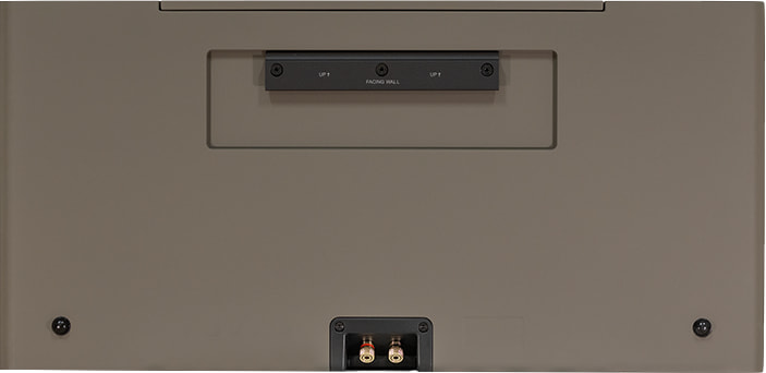 lyngdorf-lcr-2-rear