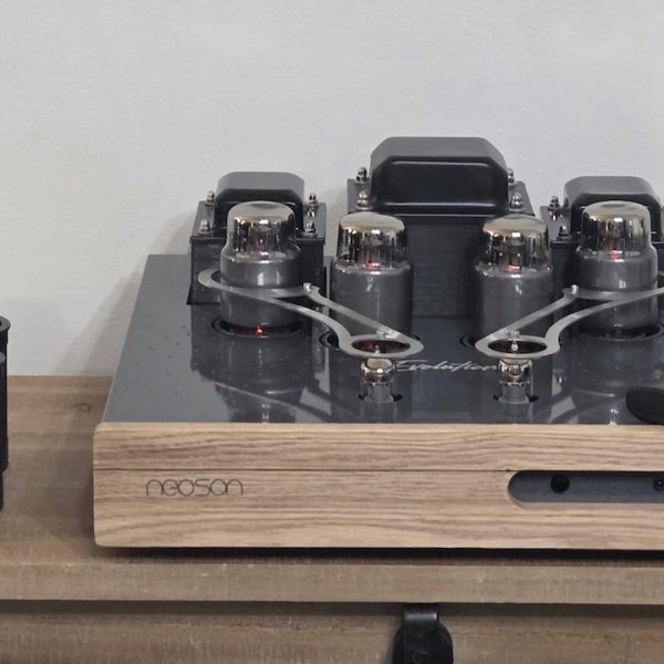 Neoson Evolution Tube Amplifier with covers