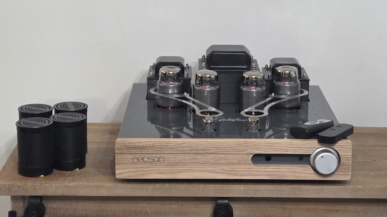 Neoson Evolution Tube Amplifier with covers