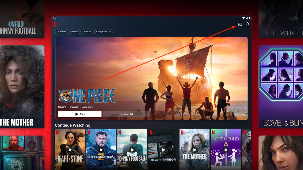 Netflix Disables Casting