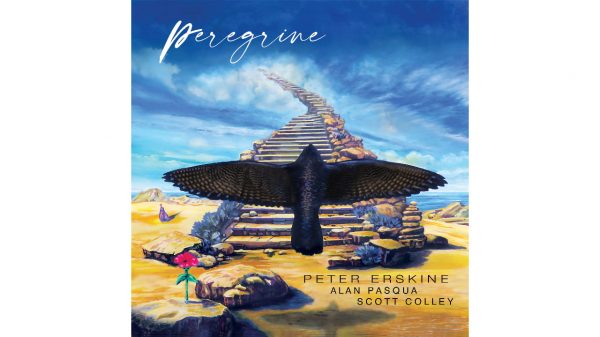 Peregrine Black Ultra LP Cover