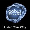 Qobuz Connect - Listen Your Way.