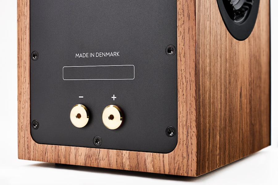 radiant-clarity-4-rear-input