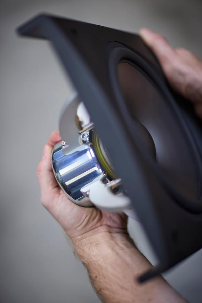 raidho-acoustics-td-10-subwoofer-driver