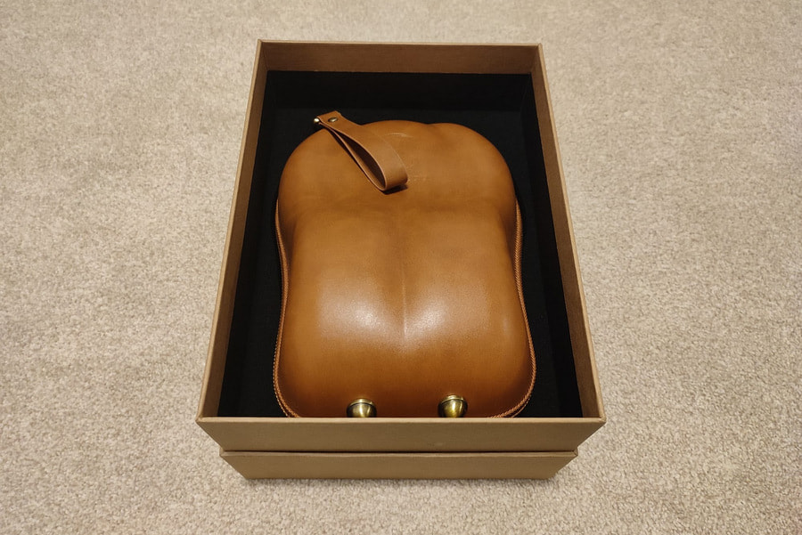 sendy-egret-headphones-case