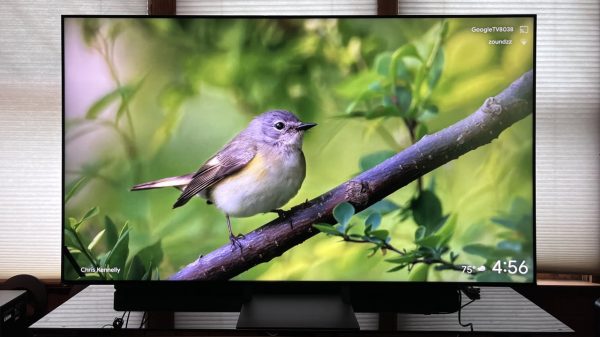 2026 Sony Bravia 7 II True RGB 4K TV Front