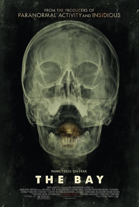 the-bay-dvd