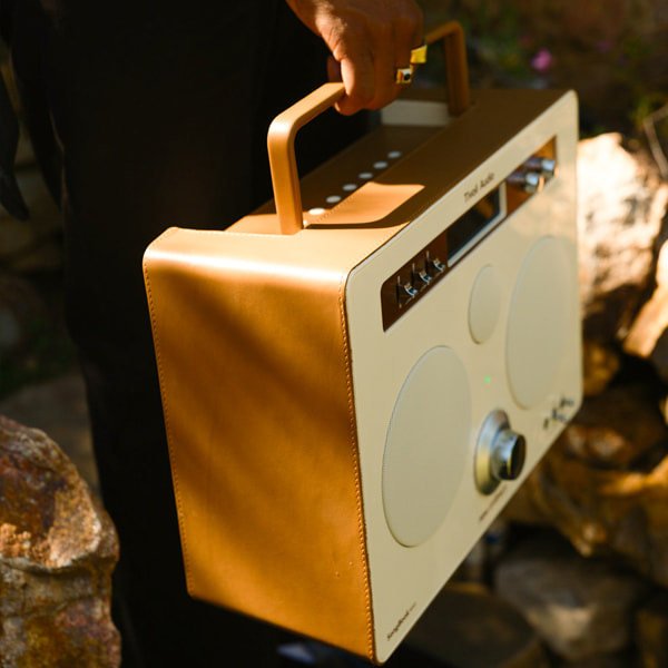 Tivoli Audio New Ordinary SongBook Max Speaker Carry