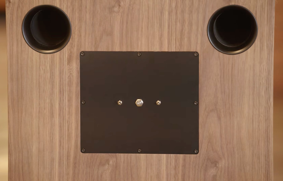 troubadour-rear-switches