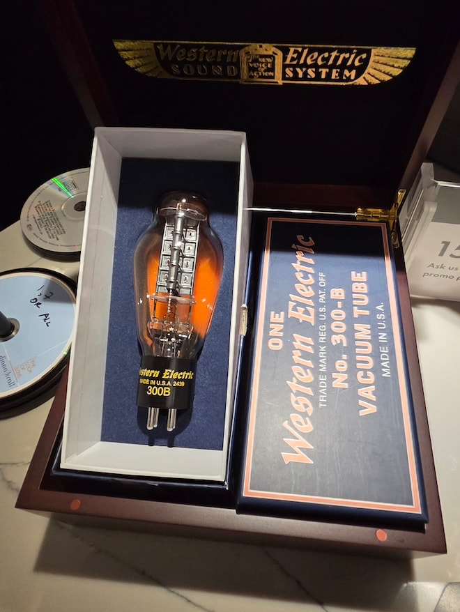 western-electric-300b-tube-case